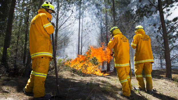 ACT rural firefighters at the fire containment line at Pierces Creek. 