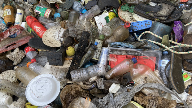 Plastic waste found in Enoggera Creek.