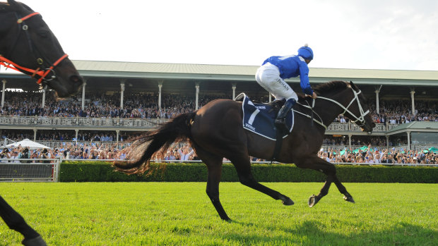 Local hero: Winx will remain in Australia after connections settled on I Am Invincible as her first stud partner.
