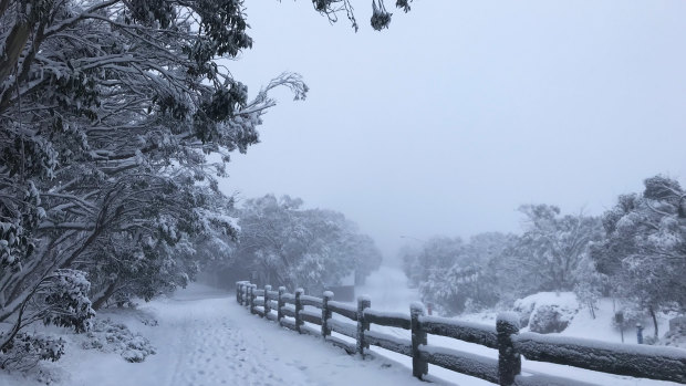 Mount Buller is among the locations where emergency services have carried out the most high angle rescues. 
