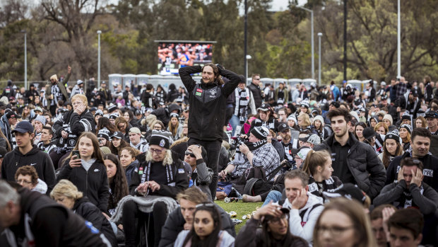 Shattered Magpies faithful at Collingwood's home base.