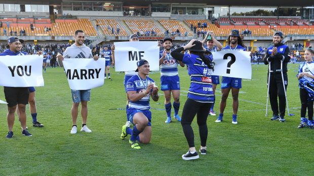 Big day: Renouf To’omaga proposes to  Tayla Jane Scanlan (above) after the Bulldogs’ Intrust Super Premiership NSW grand final victory. 