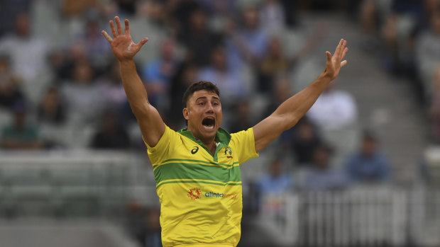 Stoinis has received encouraging feedback from Australian coach Justin Langer.