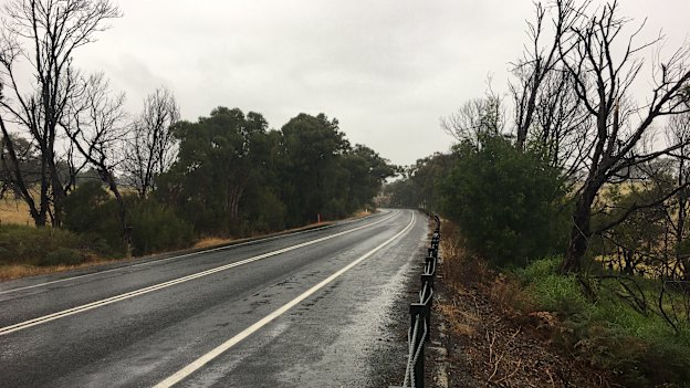 The road where Ashleigh Petrie died. “I tried to help, but it was too late,” says driver Daniel Macklin.
