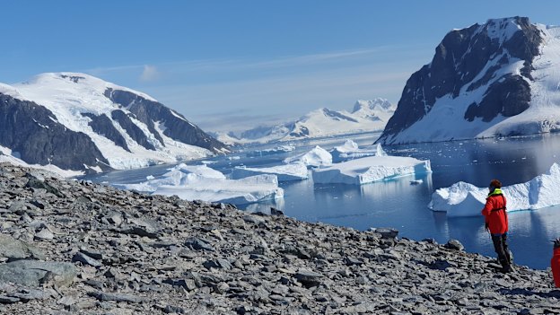 Danco Island 12 months after the author's last visit. The scene shows there is barely any snow cover at the same height, and rivulets of snowmelt rush over bare rock to the shore.