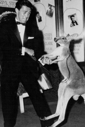 Welterweight boxing champ Darryl Stewart spars with his pet kangaroo    in 1958. The author wasn’t so well prepared.
