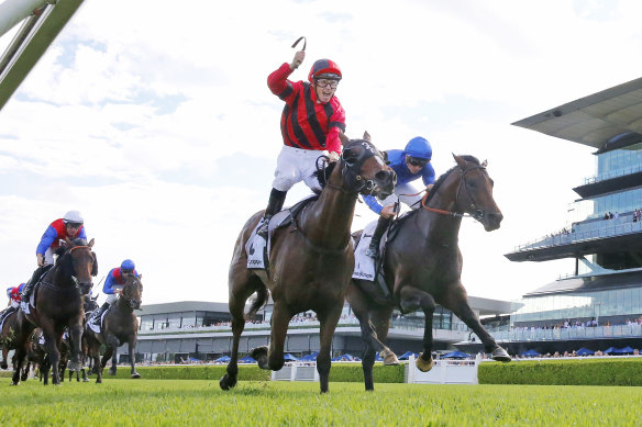 Tim Clark stands in the irons after Converge holds off Anamoe in the Randwick Guineas.