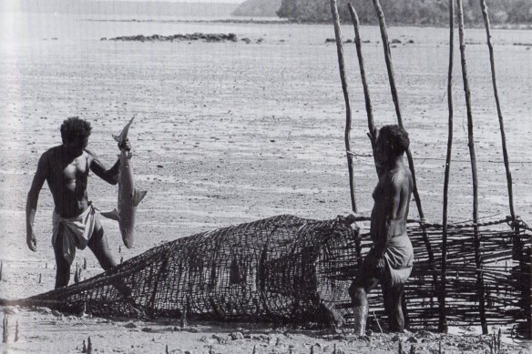 Fish traps in Arnhem Land, 1952.