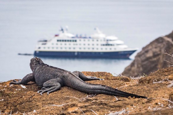 Lindblad Expeditions’ National Geographic Endeavour II in the Galapagos.
