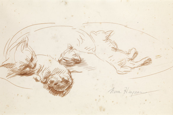 Nora Heysen’s <i>Cats</i>, 1960s, in pen and brown ink.