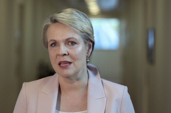 Environment Minister Tanya Plibersek.