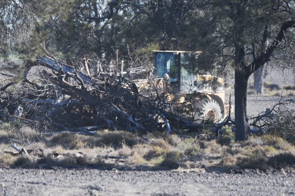 Land clearing on a property near Moree in northern NSW in August 2017 after biodiversity laws were weakened.