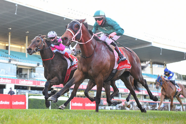 Veteran Humidor Locks In Cox Plate Spot