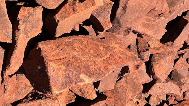 WA news LIVE: Murujuga rock art scientist backs contentious report