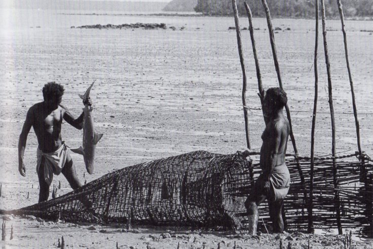 Aboriginal fishing tools hotsell