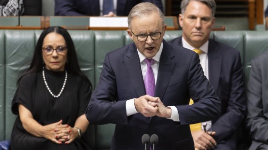 Prime Minister Anthony Albanese speaks during debate on the Voice referendum bill.