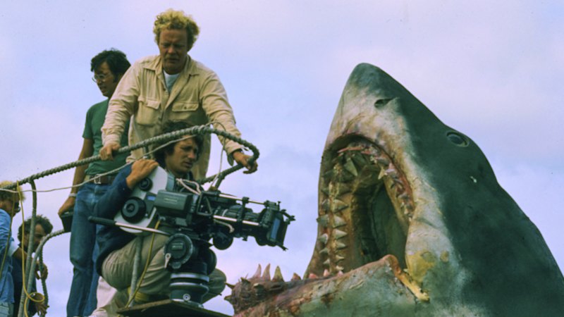 Jaws made us scared to enter the water. This play reveals the real horror
