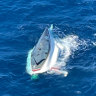 One dead, father and son rescued after yacht capsizes off Queensland coast