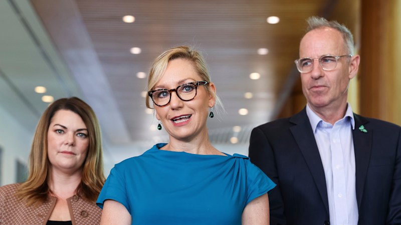 Greens seek Labor deal to bridge party rift on logging