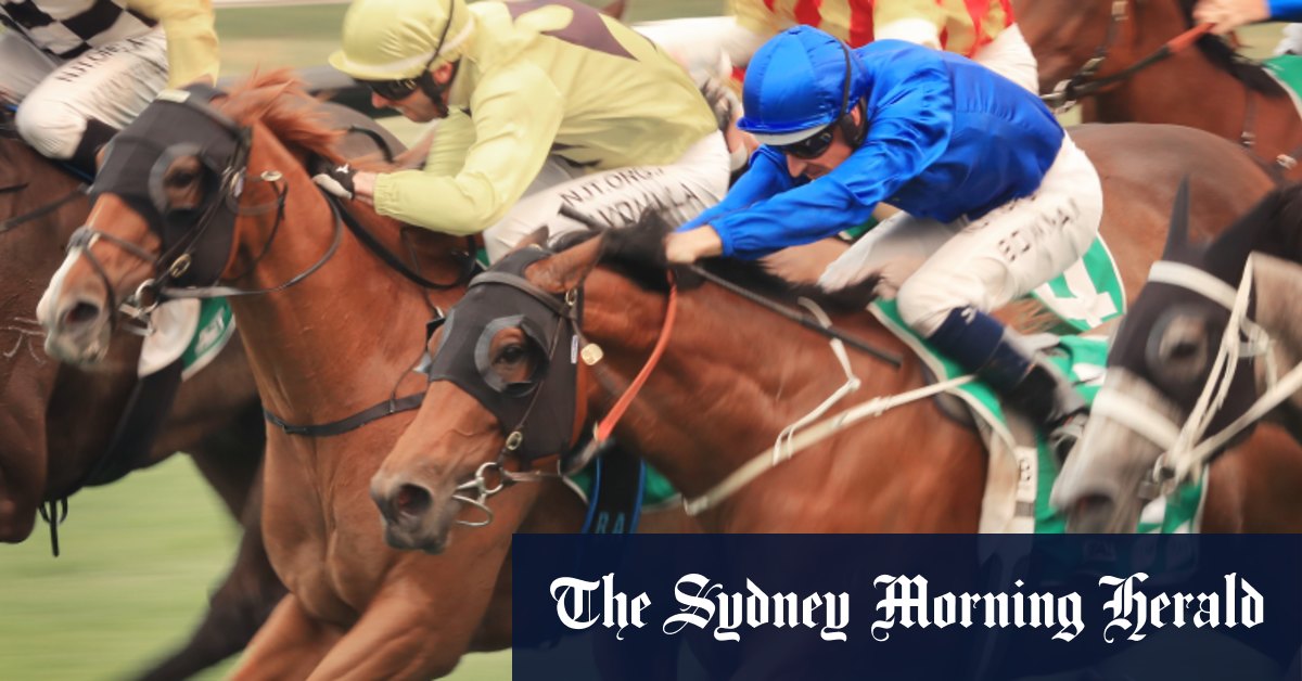 Race-by-race preview and tips for Wagga Wagga meeting on Thursday