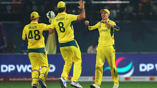 Australia celebrate a wicket against New Zealand.