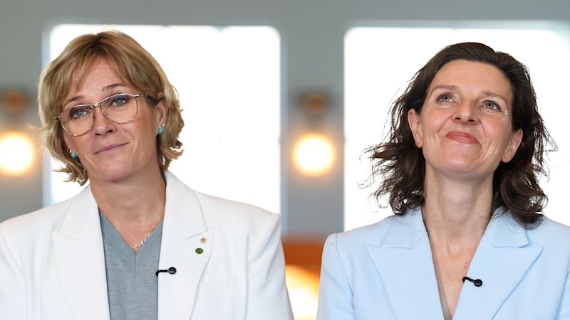Spender and Steggall have power to handpick teal party candidates