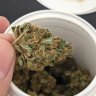 Australian medicinal cannabis company Montu sells the Circle brand of cannabis.