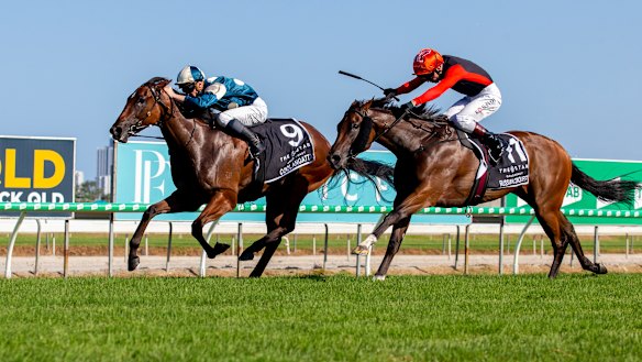 Coolangatta holds off Russian Conquest to take out the Magic Millions Classic at the Gold Coast on Saturday.