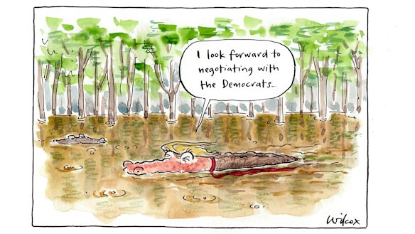 Illustration: Cathy Wilcox
