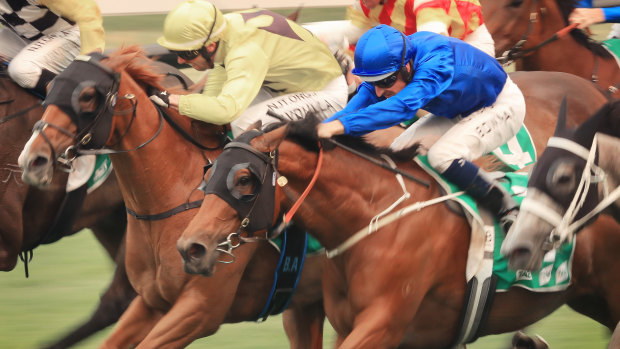 There are plenty of contenders on Monday's eight-race card at Wagga.