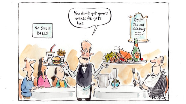 Illustration: Cathy Wilcox