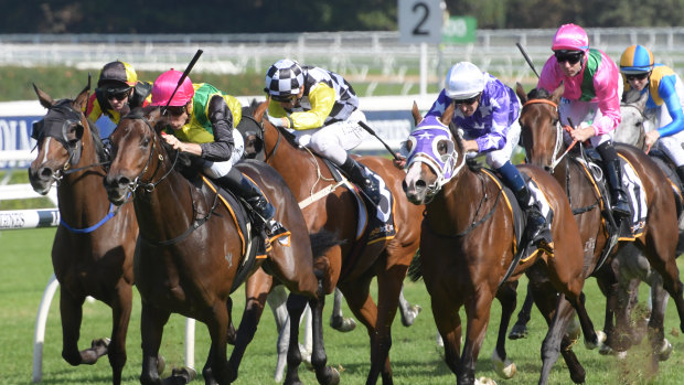 Bum's rush: Tommy Berry looks for a run in the Packer Plate on Amangiri,  right, in the pink silks with green sash.