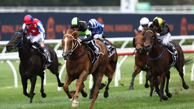 Flying Bandit has won six of 13 starts so far.