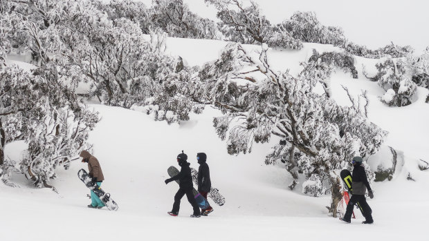 COVID-19 has had a "shockingly cruel" impact on the Australian ski industry, but visitors still enjoyed visiting snow resorts.