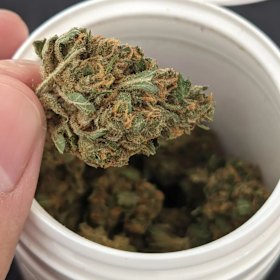 Australian medicinal cannabis company Montu sells the Circle brand of cannabis.