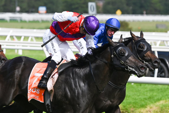 Artorius, ridden by Luke Currie, wins the Blue Diamond.