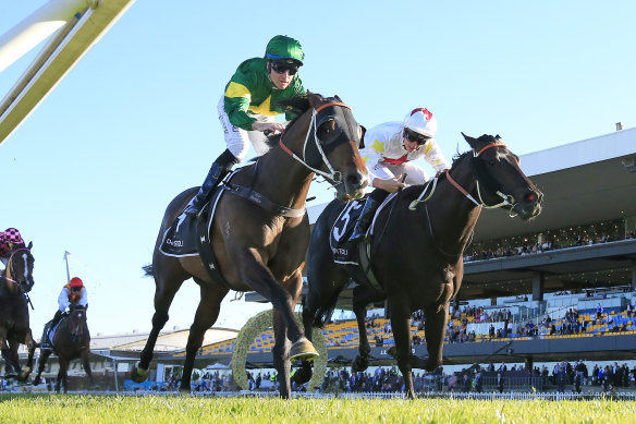 Ole Kirk holds off North Pacific to win the Golden Rose at his last appearance at Rosehill