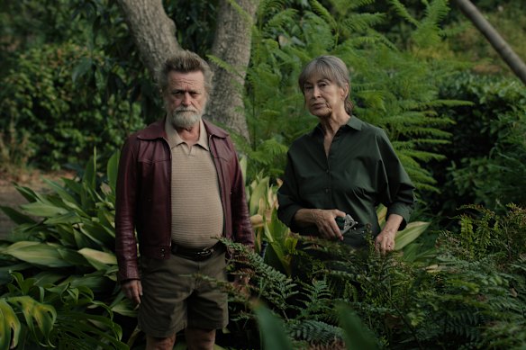 Richard and Lyn, played by Michael Hurst and Linda Cropper.