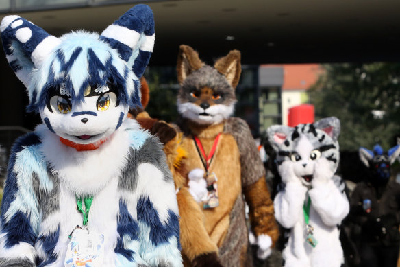 The number of furries attending Australia’s annual convention has soared over the past decade.