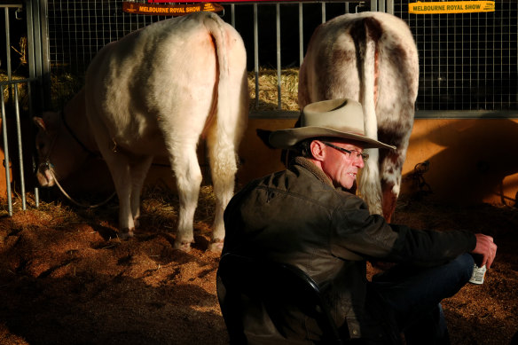 The space for livestock has been reduced since the 2006 Showgrounds redevelopment.