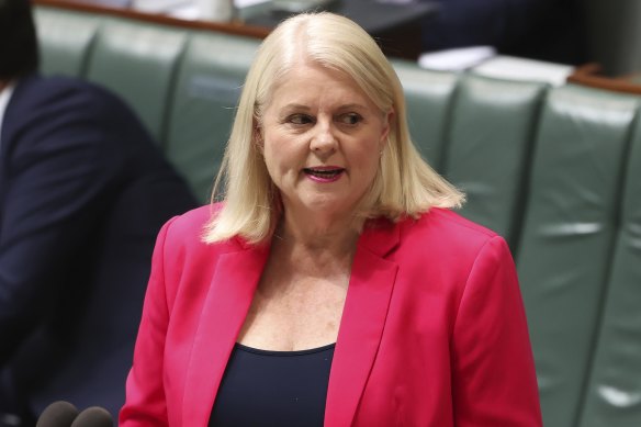 Home Affairs Minister Karen Andrews has spoken about New Zealand’s offer to take asylum-seekers.