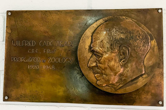 The Wilfred Agar plaque at the University of Melbourne.