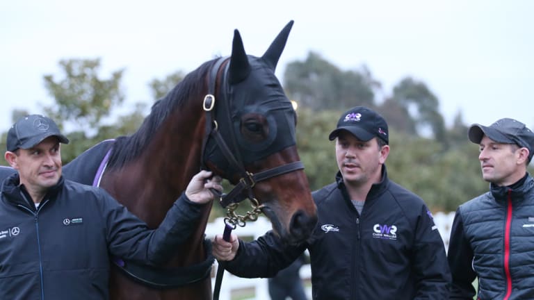 On track: With Winx, strapper Umut Odemislioglu and  jockey Hugh Bowman  at Flemington trackwork.