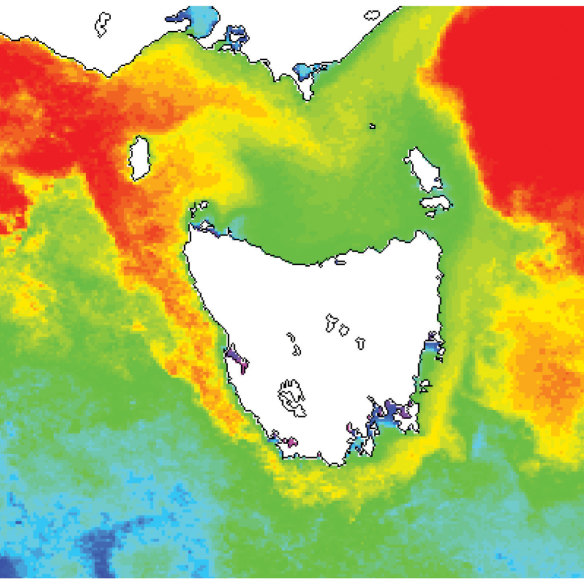 The East Australian Current hits the Bass Strait.