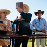 Gallery: The Brisbane Ekka in pictures