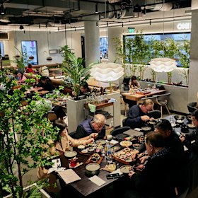Omi 380 is a new five-in-one Japanese venue in the CBD.