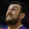 Kings coach defends form of Bogut and Ware after beating Taipans