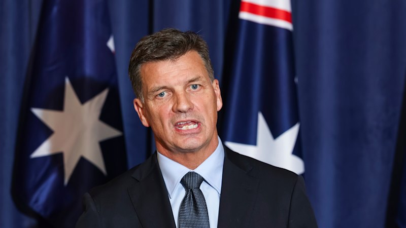 Migrants already sign on to Australian values, so what exactly is Angus Taylor proposing?
