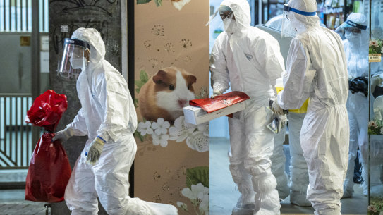Workers with Hong Kong’s Agriculture, Fisheries and Conservation Department remove small animals from the Little Boss pet store. 