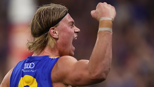 Harley Reid starred against the Dockers.